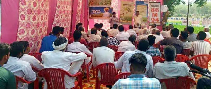 सही बीज का चयन ही अधिक पैदावार का आधार, गांव जोगीवाला में मनाया सरसों कटाई दिवस
