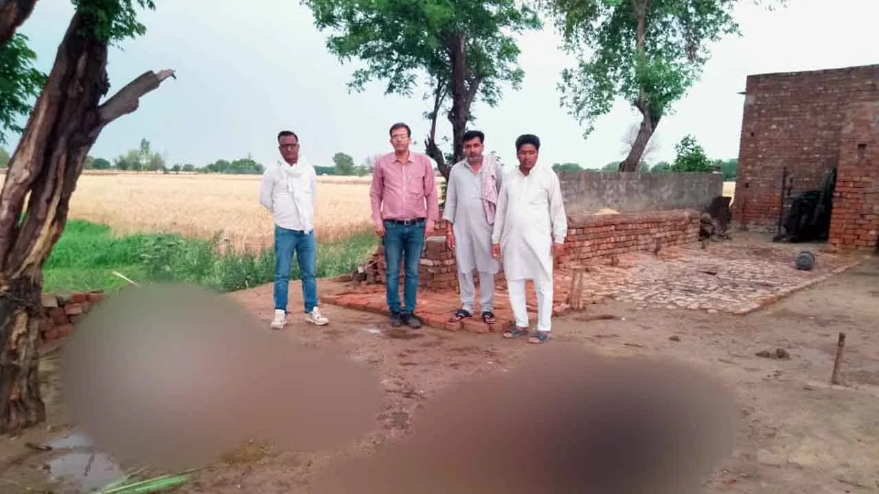 Sky Lightning: गांव बरूवाली में आसमान बिजली गिरने से दो पशुओं की मौत