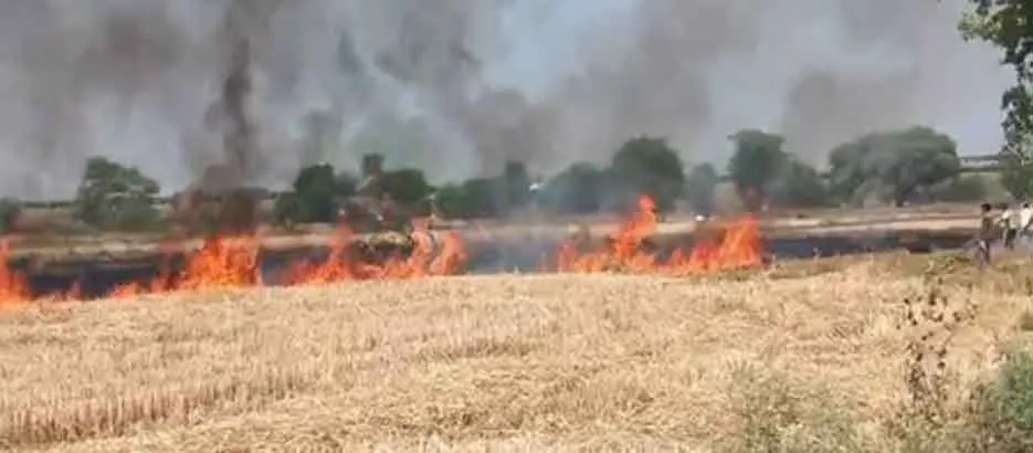 Greater Noida Fire: ग्रेटर नोएडा के इस गांव में लगी भयंकर आग
