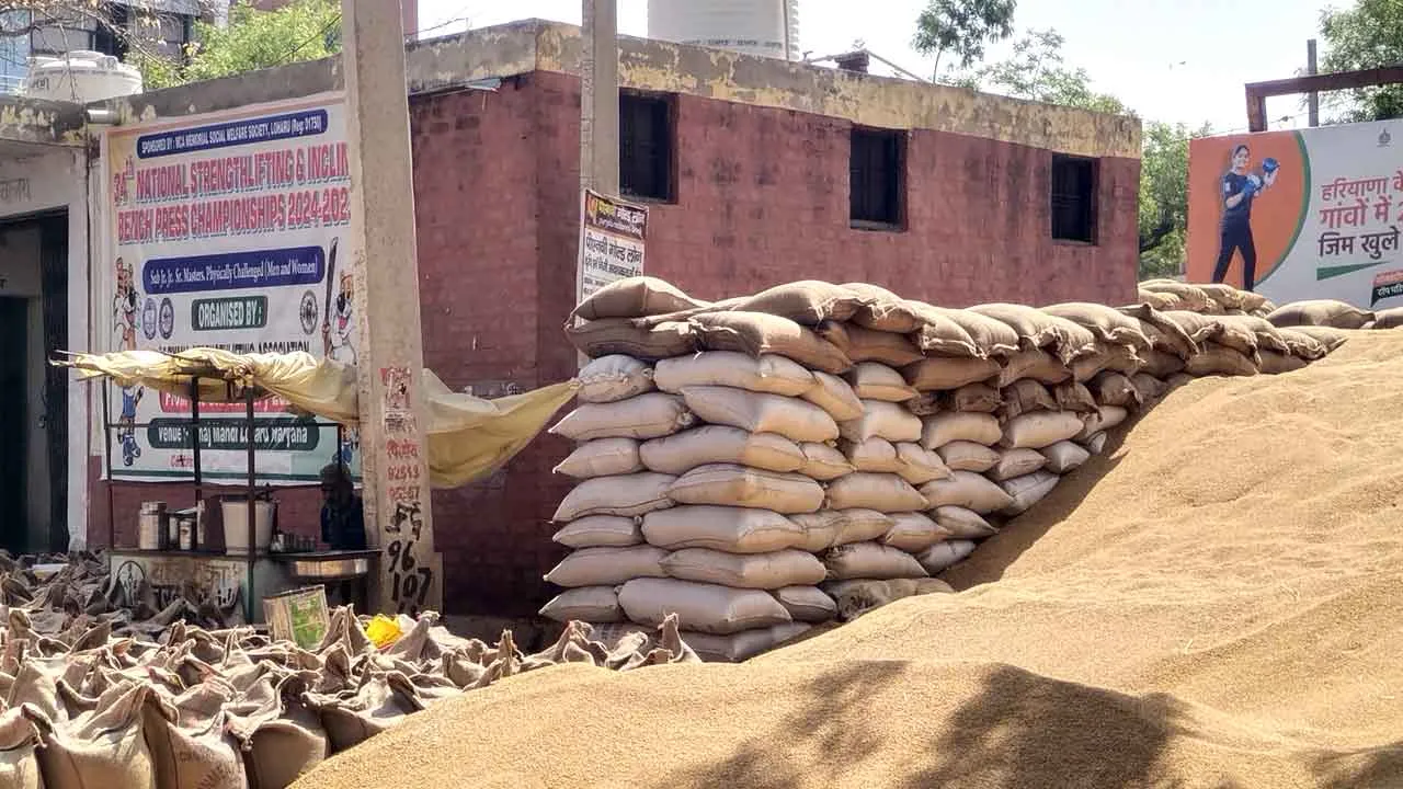 अनाज मंडी में शौचालय के गेट के सामने कट्टों में भरकर रखा जा रहा अनाज
