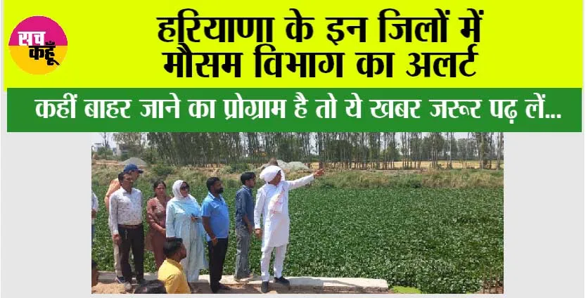 Haryana Weather: हरियाणा के इन जिलों में मौसम विभाग का अलर्ट