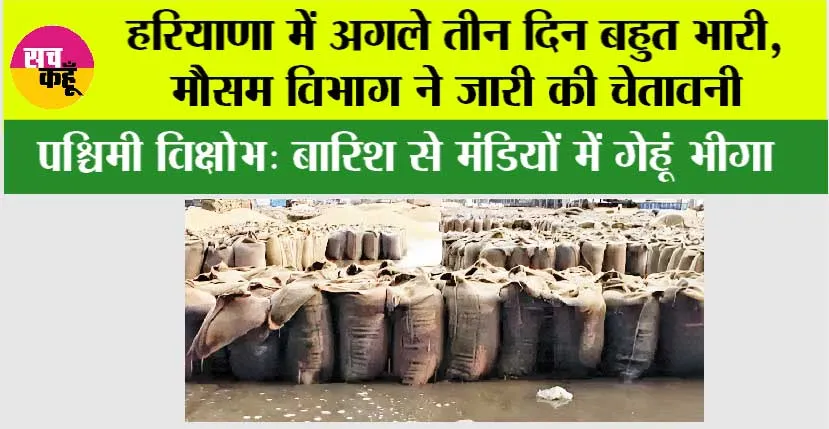 Haryana Weather: हरियाणा में अगले तीन दिन बहुत भारी, मौसम विभाग ने जारी की चेतावनी