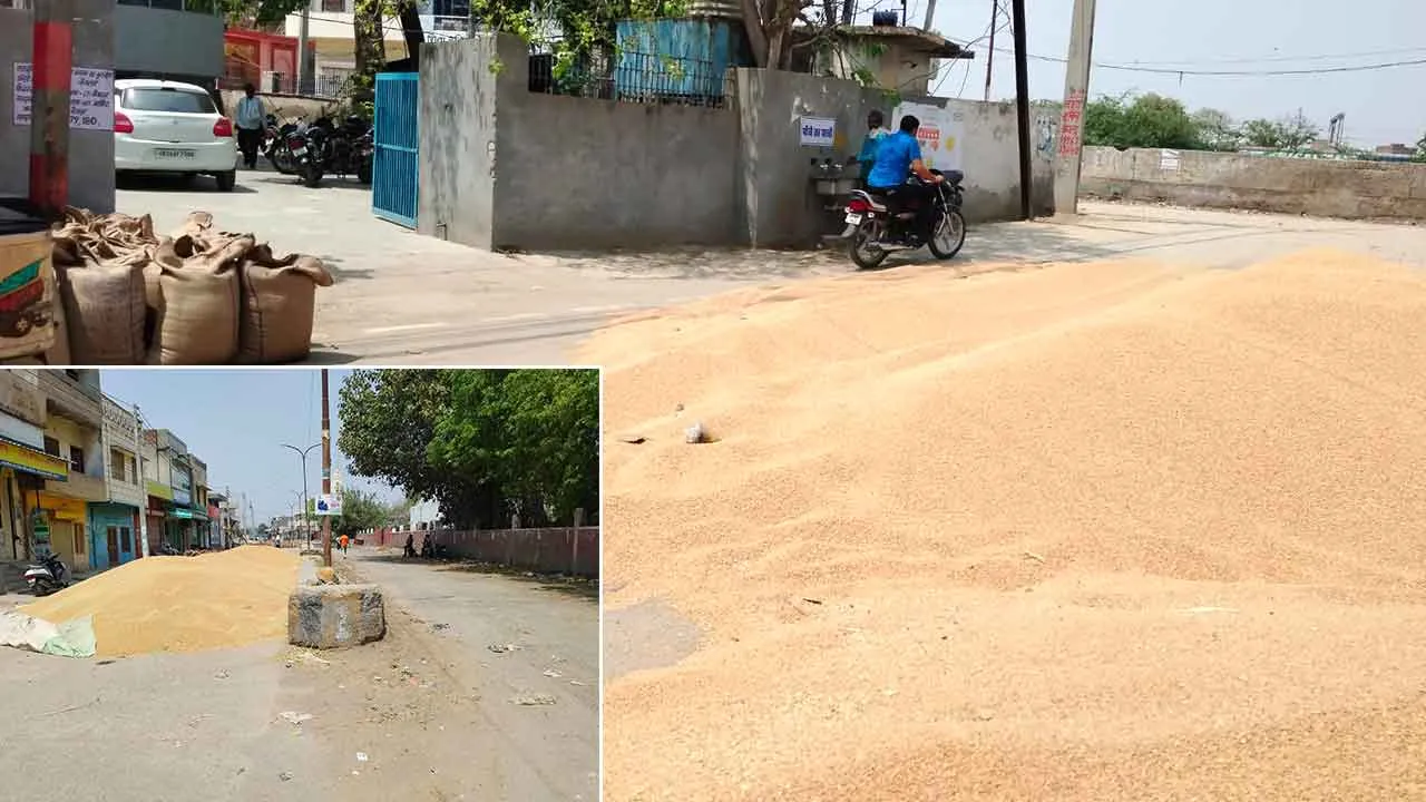अनाज मंडी में रास्ते में गेहूं डलवाने पर 7 और आढ़तियों को नोटिस, 3 के हुए लाइसेंस सस्पेंड