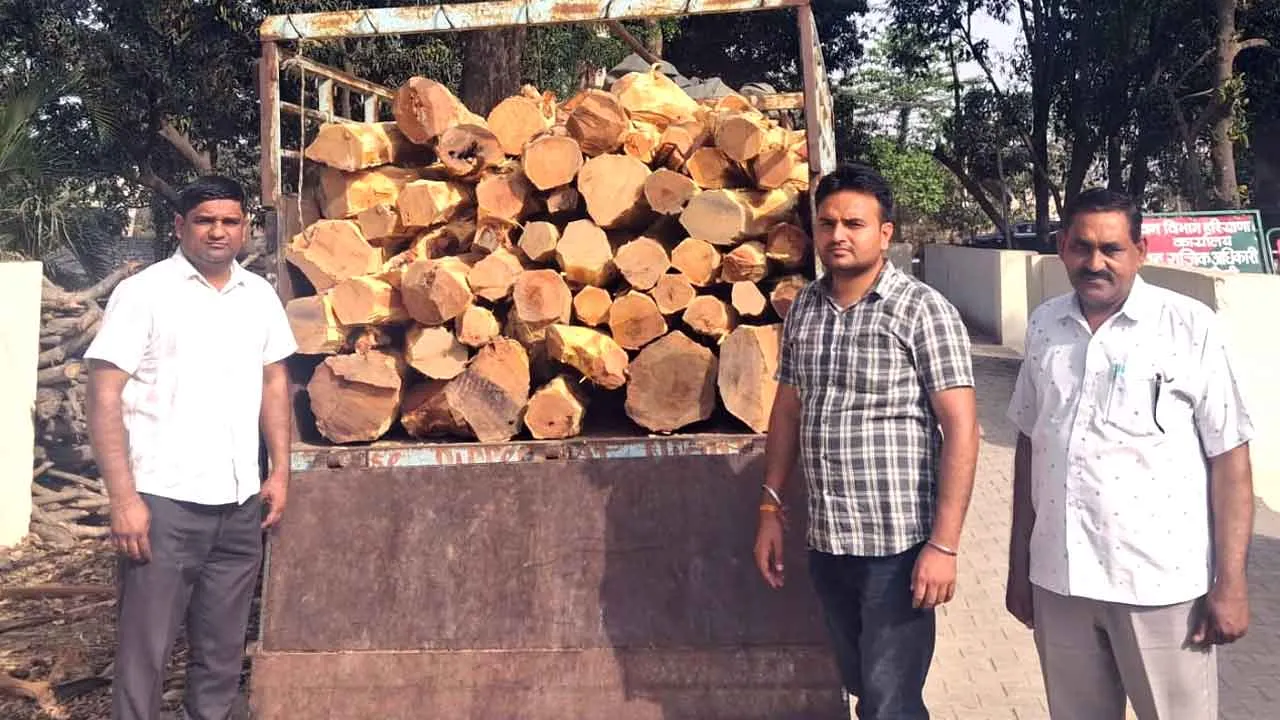Khizrabad: नेशनल पार्क व वन्य प्राणी विहार डारपुर से काटी खैर से लदी गाड़ी के भागने के प्रयास को फारेस्ट स्टाफ ने किया विफल