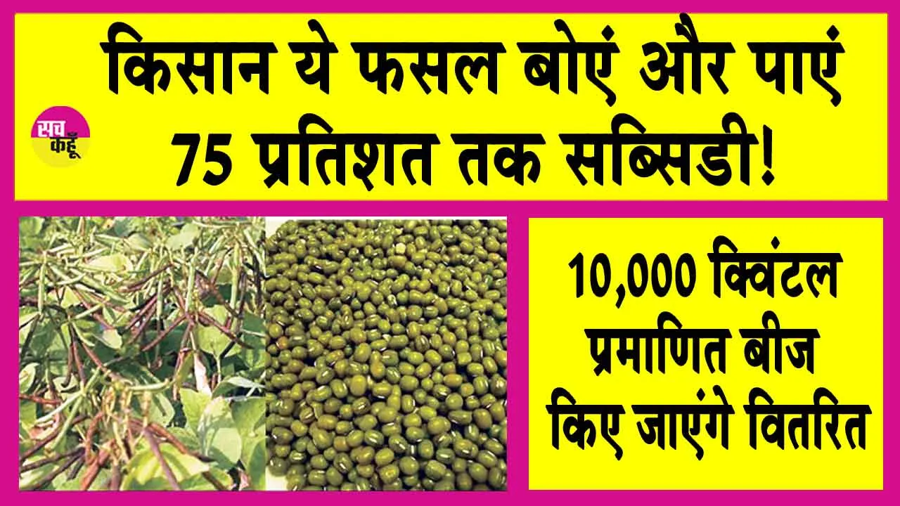 Haryana Government Scheme: सरकार देगी इस फसल की खेती के लिए किसानों को 75% तक सब्सिडी
