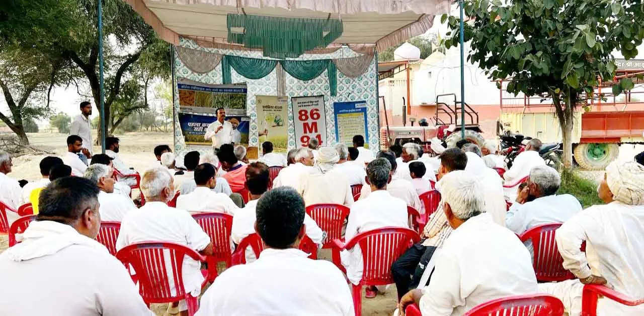 Mustard Crop Presentation Day: सरसों फसल प्रस्तुति दिवस मना किसानों ने साझा की सफलता की कहानी