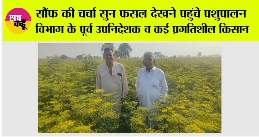 सौंफ की चर्चा सुन फसल देखने पहुंचे पशुपालन विभाग के पूर्व उपनिदेशक व कई प्रगतिशील किसान