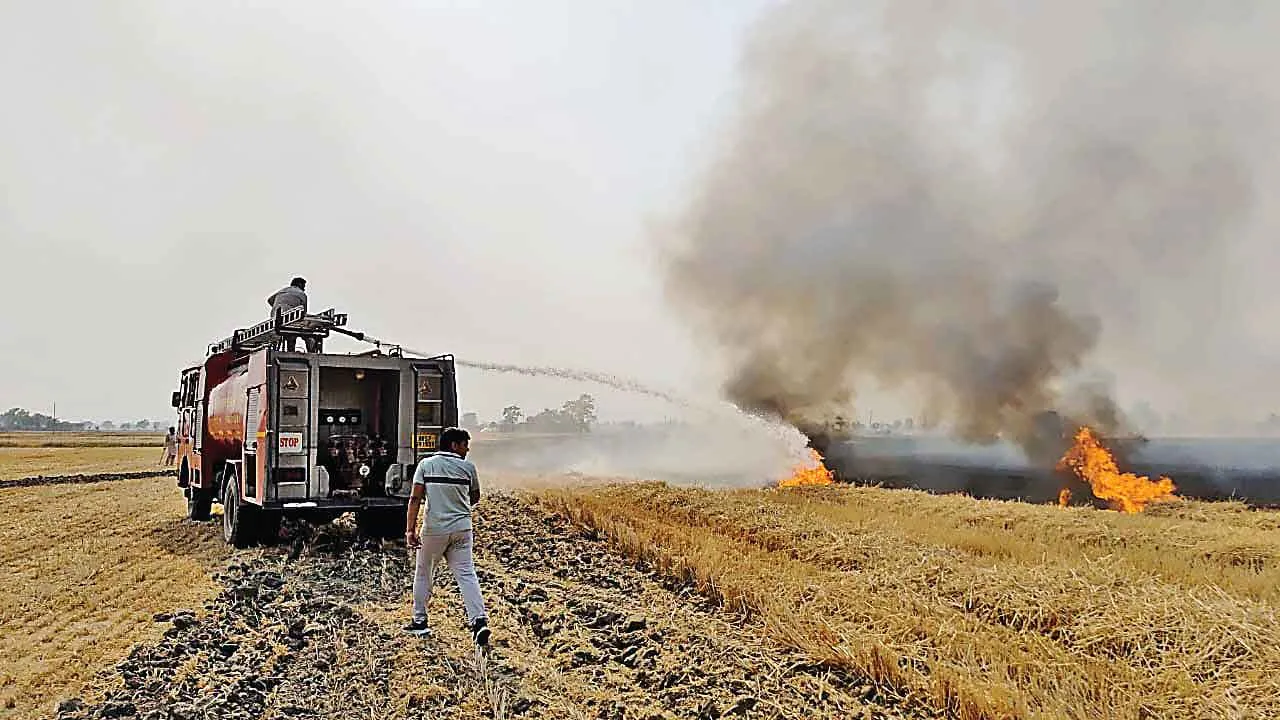 Wheat Straw Burnt: आग लगने से 25 एकड़ गेहूं का भूसा जलकर हुआ राख