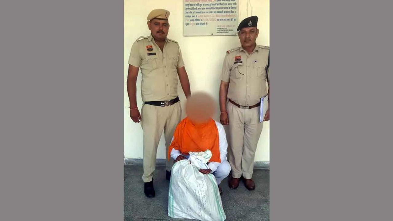 Afeem ki Kheti: घर में कर रखी थी अफीम की खेती, 143 पौधे बरामद, एक काबू