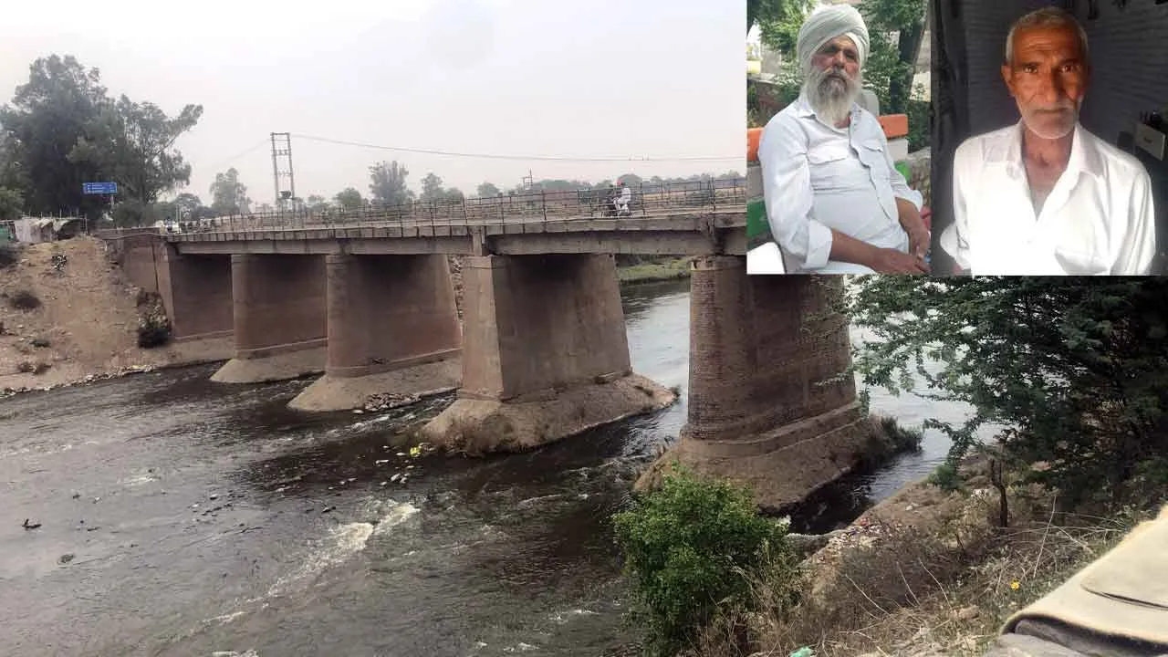 घग्गर नदी के कैमिकल युक्त पानी से बीमारियां फैलने का भय