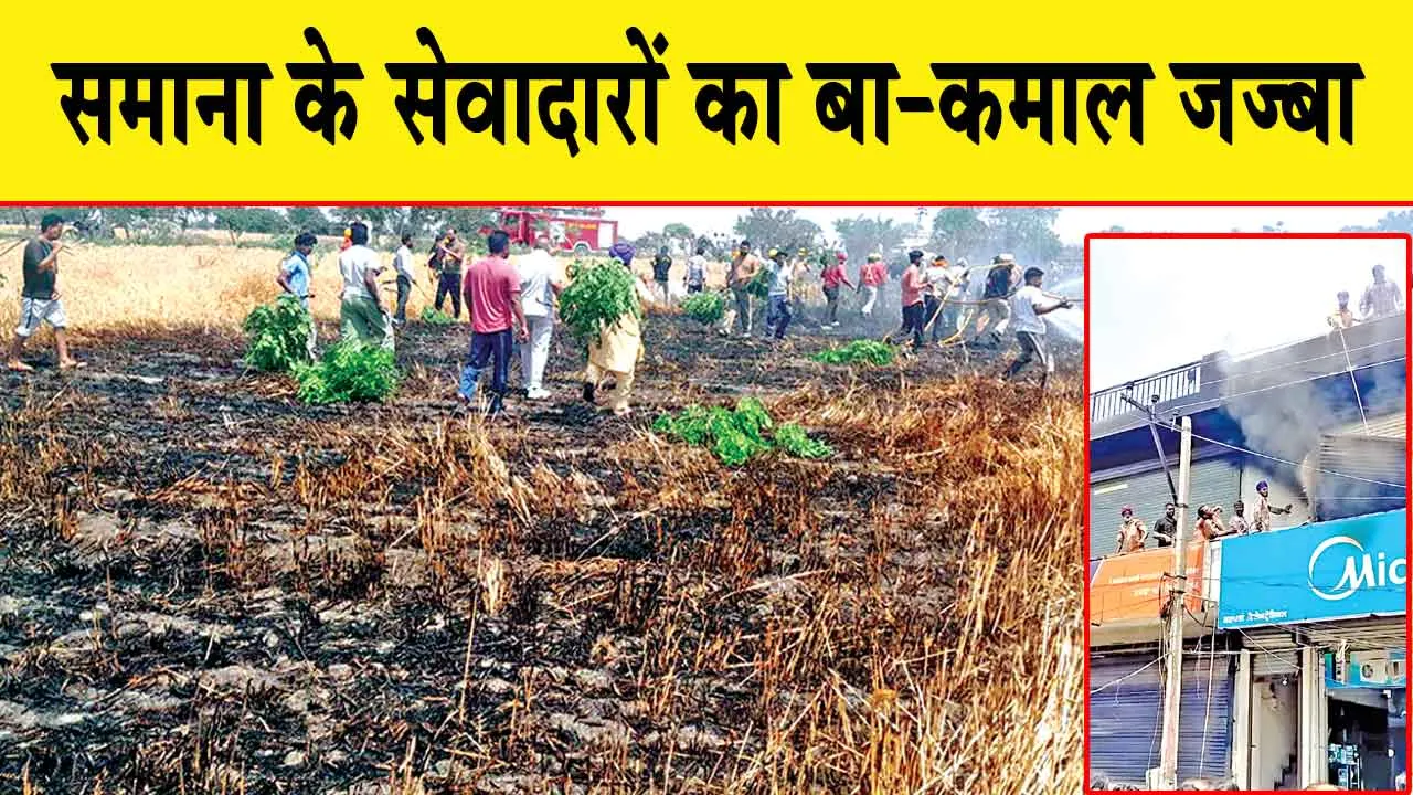 Punjab: सेवा की मिसाल, डेरा सच्चा सौदा के जांबाज़ सेवादारों ने समाना की भीषण आग में दिखाया जज्बा बेमिसाल