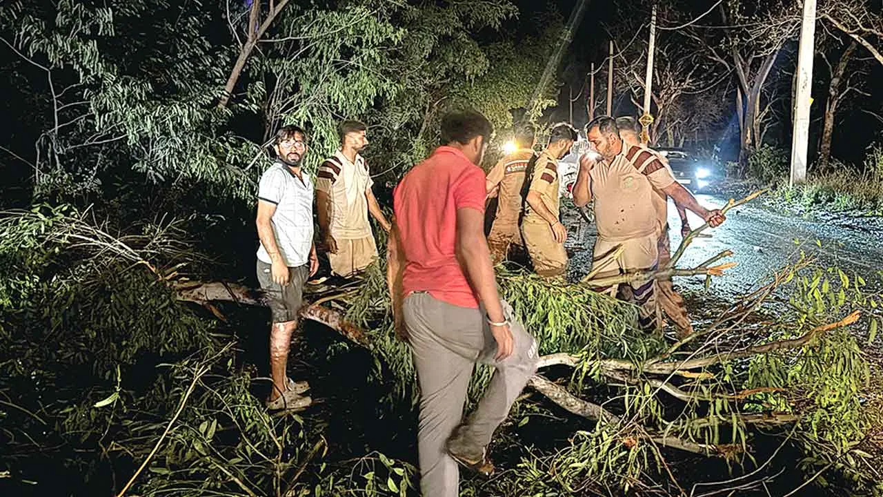 तेज आंधी से सड़क पर गिरे पेड़, डेरा श्रद्धालुओं ने एक तरफ हटा कर यातायात करवाया शुरु