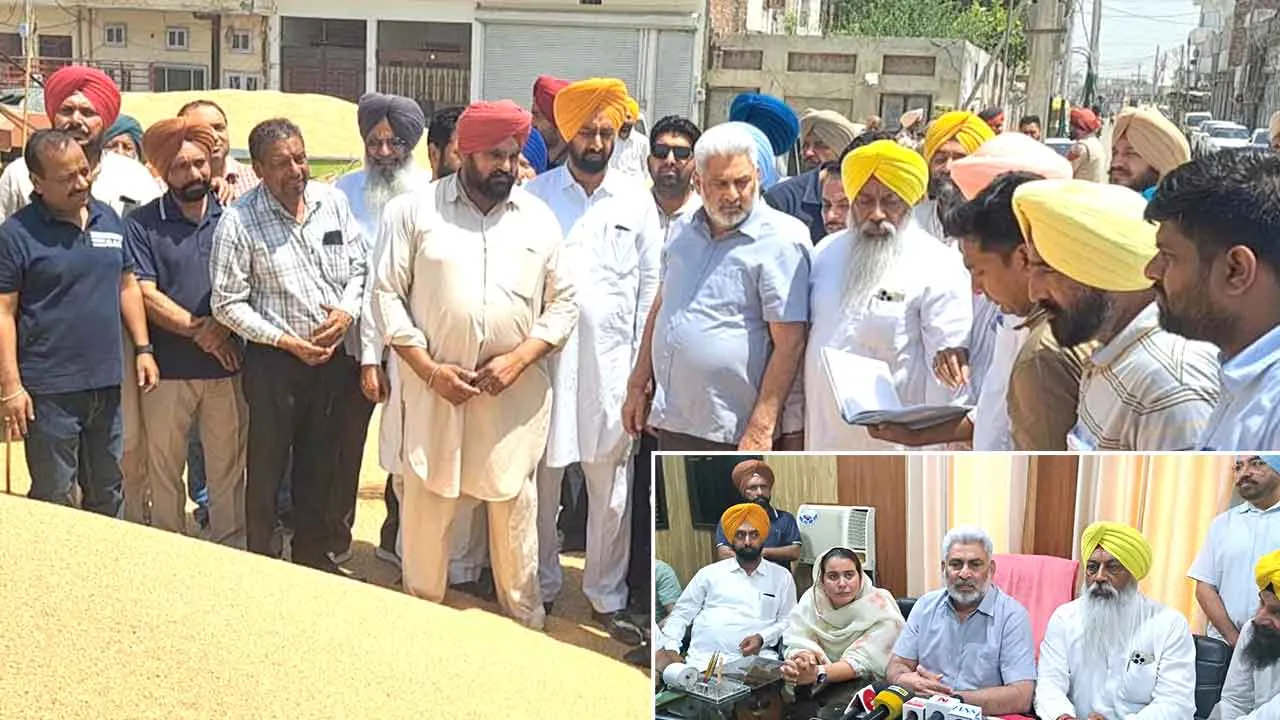 कैबिनेट मंत्री लाल चंद कटारूचक्क ने अनाज मंडी संगरूर में गेहूं खरीद प्रबंधों का जमीनी स्तर पर जायजा लिया