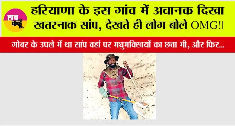 Snake News: भयानक मंजर, गोबर के उपले में था विशालकाय सांप, घर वाले हैरान