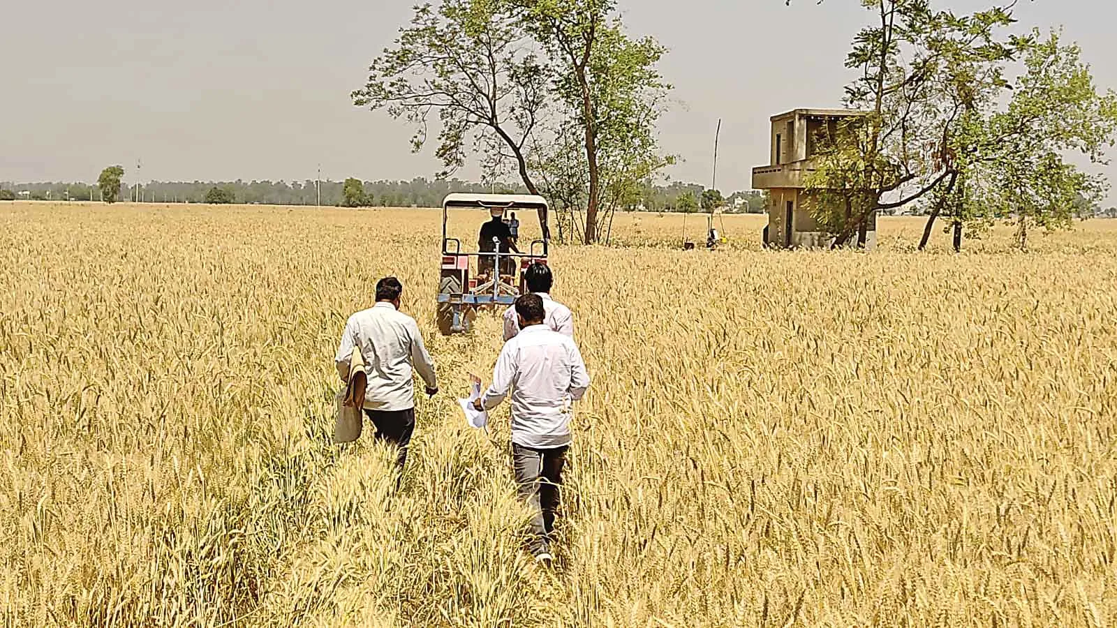 रानियां के सुखदेव सिंह ने जताया न्याय मिलने पर कोर्ट का आभार