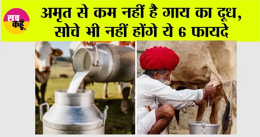 Badri Cow Milk Benefits: अमृत से कम नहीं है गाय का दूध, सोचे भी नहीं होंगे ये 6 फायदे