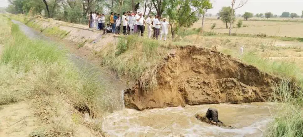 Baruwali minor broken: ढूकड़ा के पास बरुवाली माईनर फिर टूटी