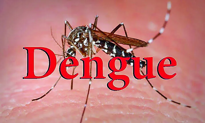 National Dengue Day: डेंगू से घबराएं नहीं, सतर्कता और स्वच्छता से करें डेंगू पर विजय हासिल