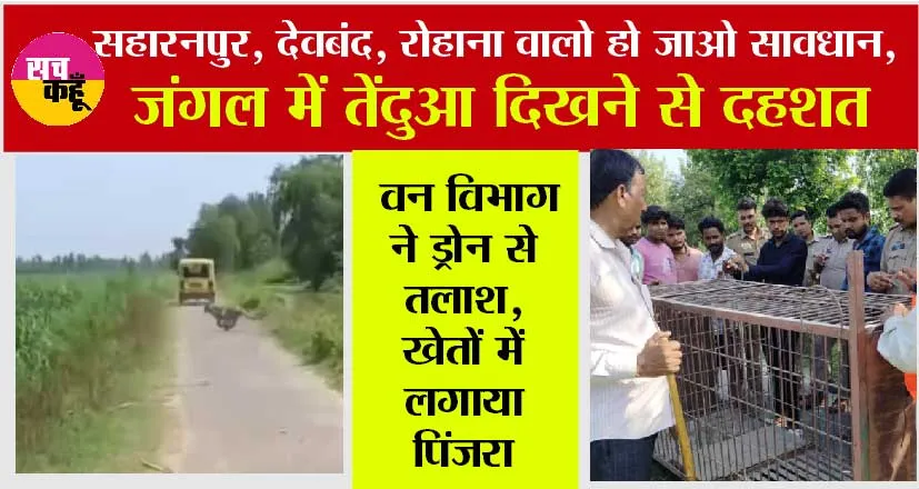 जंगल में तेंदुआ दिखने से दहशत, वन विभाग ने ड्रोन से तलाश, खेतों में लगाया पिंजरा