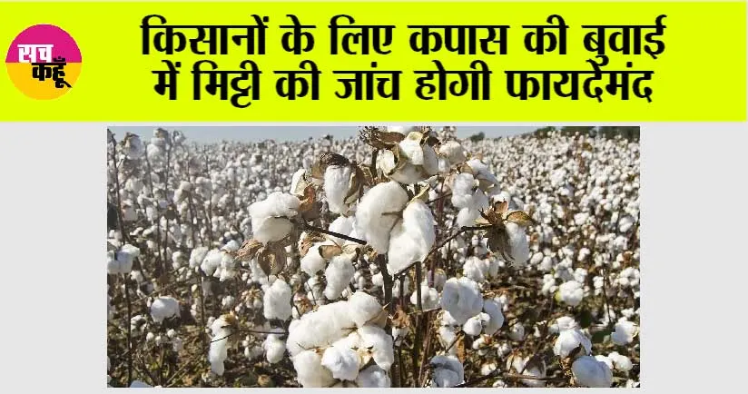 Farmers News: किसानों के लिए कपास की बुवाई में मिट्टी की जांच होगी फायदेमंद