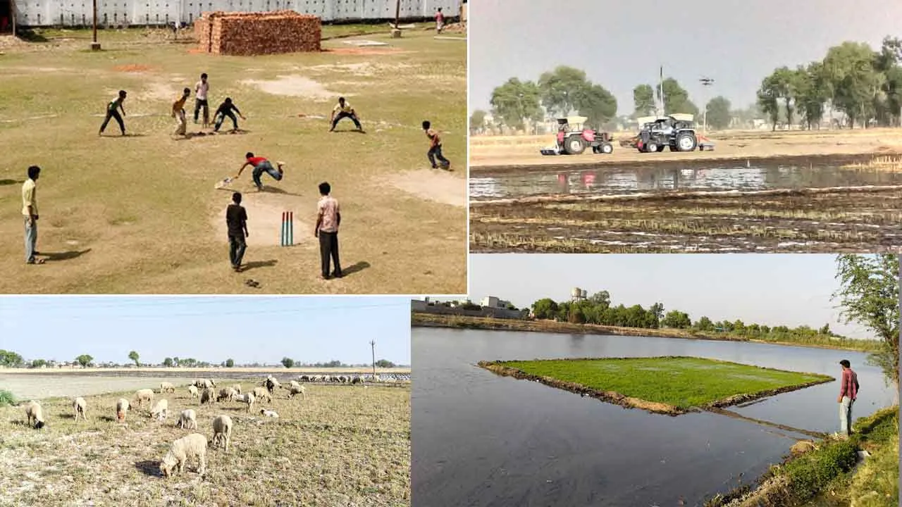 जय जवान जय किसान का संगम, सीमा पर बीएसएफ और खेतों में किसान 