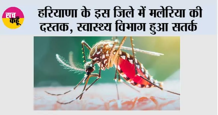Haryana: हरियाणा के इस जिले में मलेरिया की दस्तक, स्वास्थ्य विभाग हुआ सतर्क