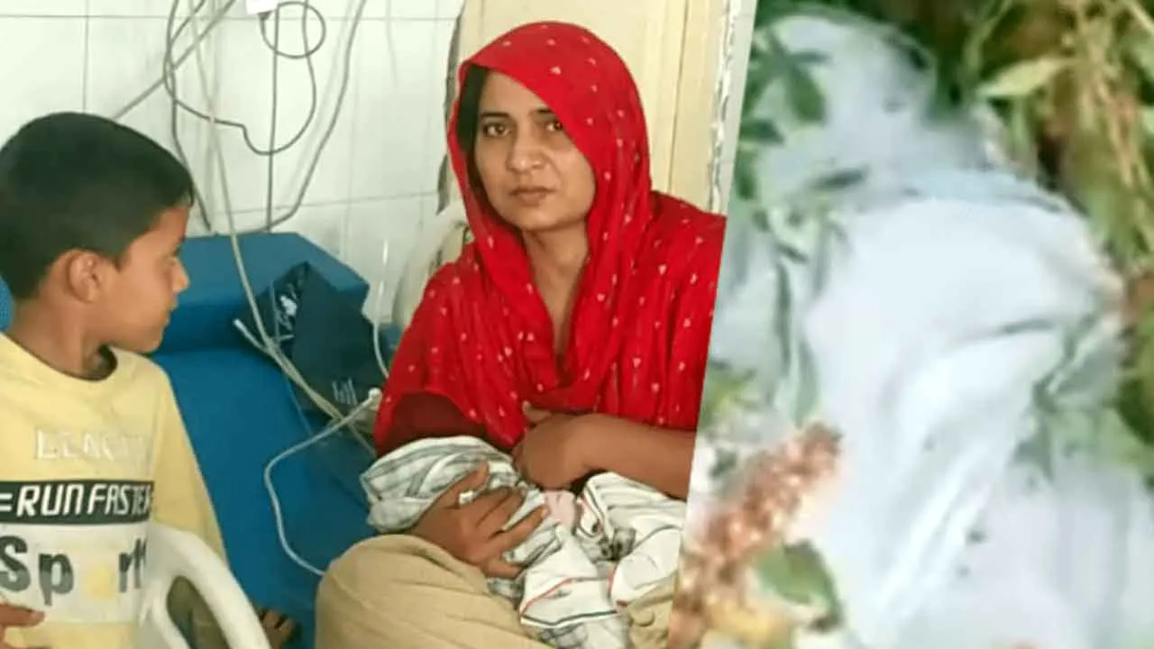 हिसार में कांटेदार झाड़ियों में नवजात बच्ची को छोड़ा