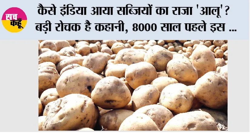History and origin of Potato: कैसे इंडिया में आया सब्जियों का राजा ‘आलू’? बड़ी रोचक है कहानी, 8000 साल पहले इस देश में उगाया गया था