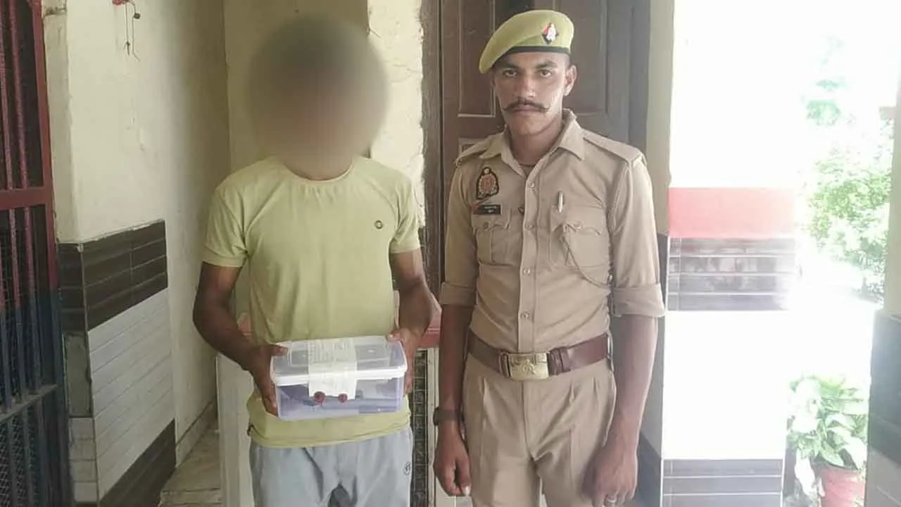अवैध असलहा व जिंदा कारतूस बरामद, आरोपी दबोचा
