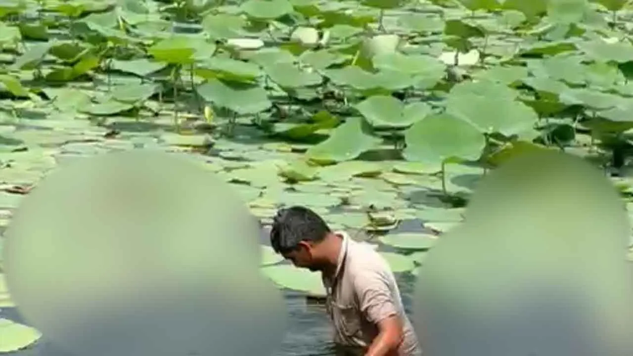 देवी मंदिर तालाब में मृत मिली सैकड़ों मछलियां, श्रद्धालुओं में रोष