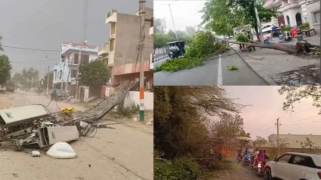 Haryana Weather: अचानक चली धूल भरी तेज हवाएं, पेड़ गिरे, सड़के जाम, बिजली गुल