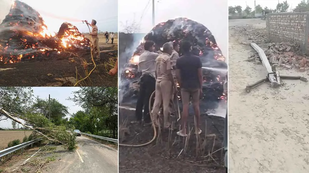 आंधी और तूफ़ान में 642 पेड़ गिरे, 800 बिजली के खंभे गिरे…दोपहर बाद तक लगे रहे बिजली विभाग और वन विभाग के कर्मचारी