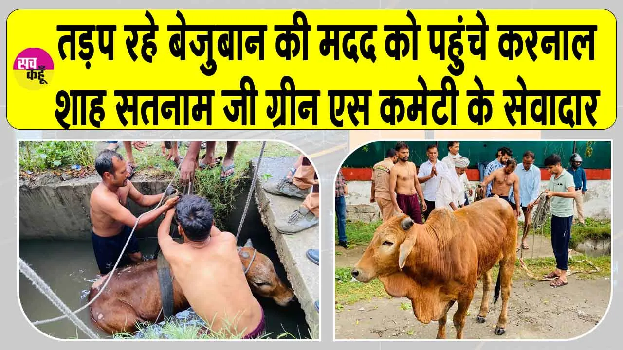 गंदे नाले में उतरकर घंटों की कड़ी मशक्कत के बाद बचाई बेजुबान की जान, वीडियो वायरल
