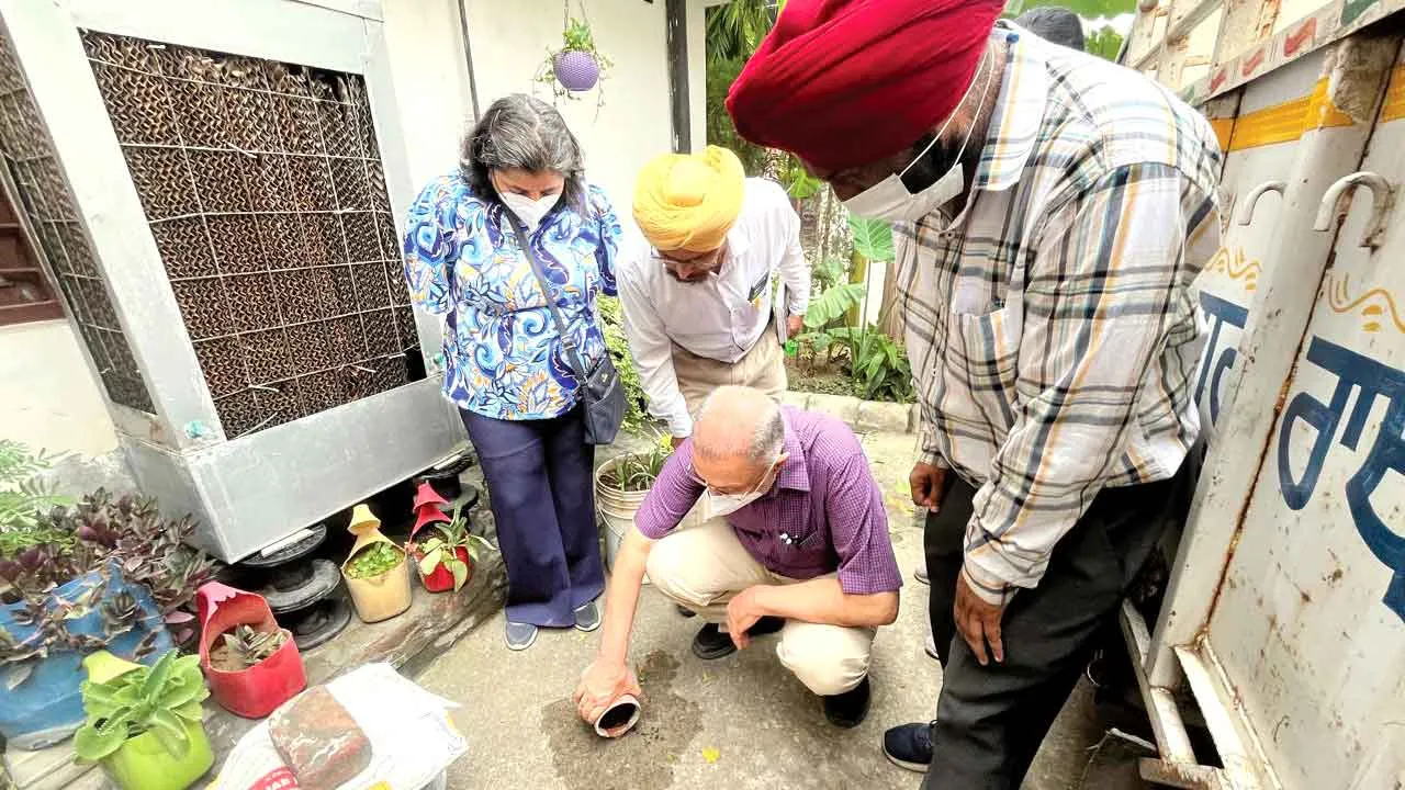 न्यू कैलाश नगर में सेहत मंत्री बलवीर सिंह का निरीक्षण, कई घरों में मिला डेंगू लारवा
