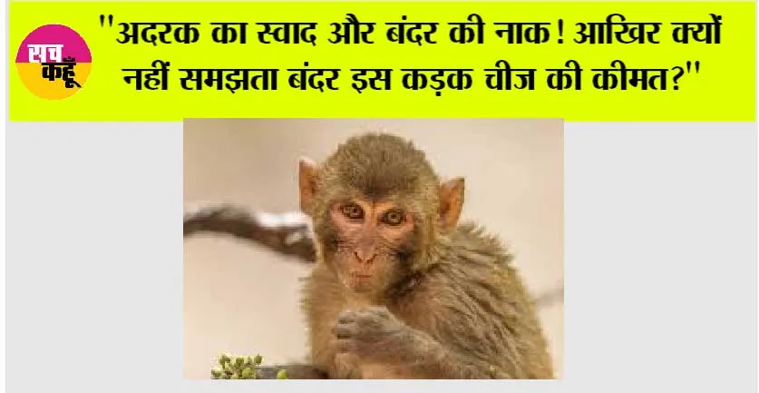 Monkey Animal Facts: “अदरक का स्वाद और बंदर की नाक! आखिर क्यों नहीं समझता बंदर इस कड़क चीज की कीमत?”