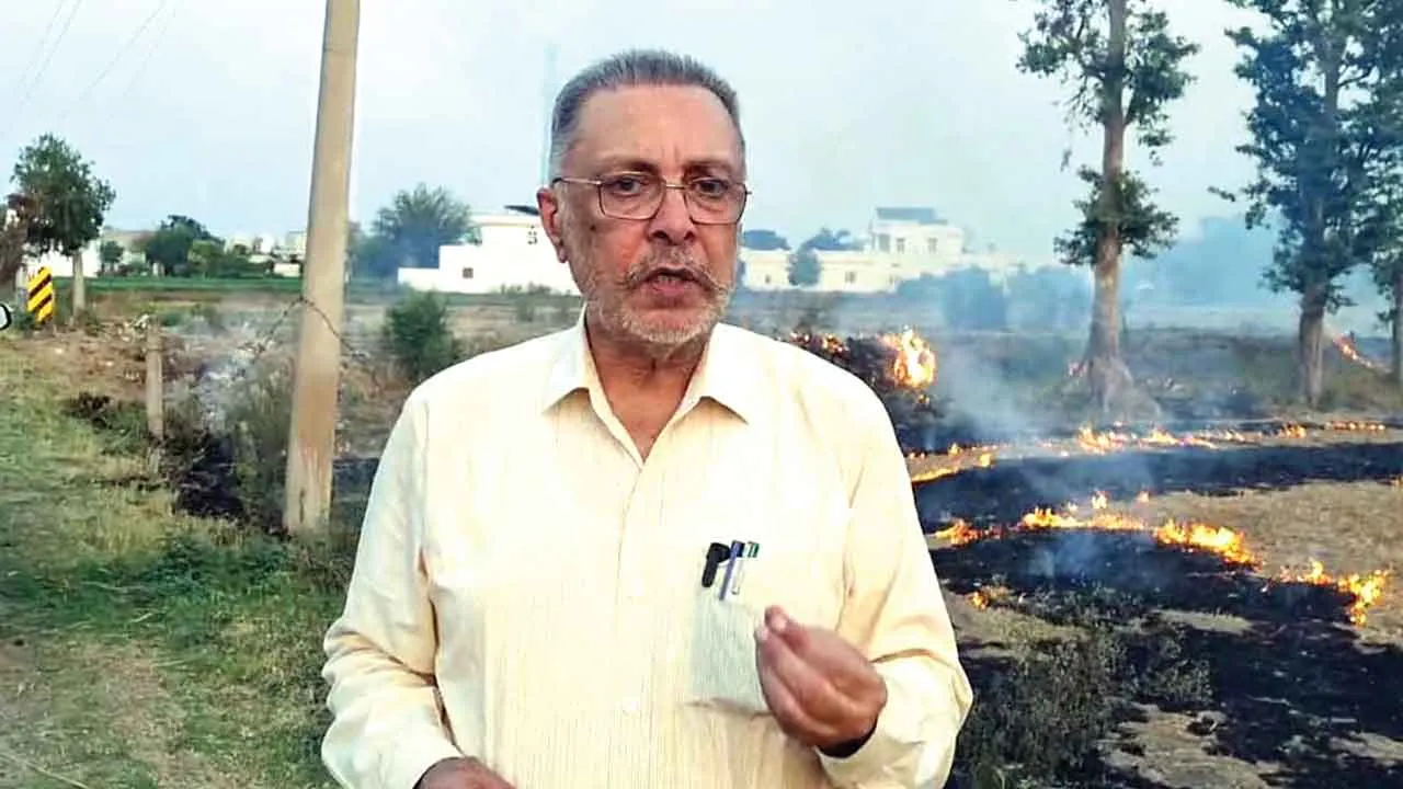 प्रदेश भर में पराली जलाने की घटनाएं बढ़ी, 10 हजार से अधिक घटनाएं दर्ज