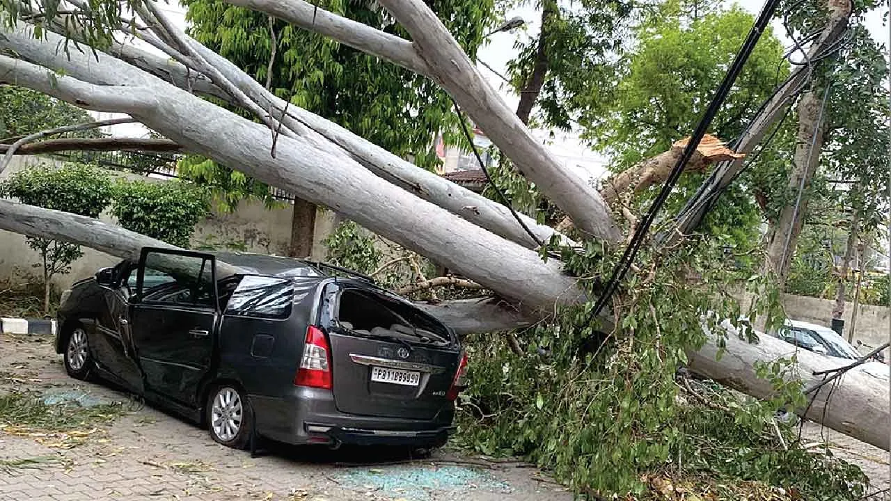 गर्मी से राहत: तेज आंधी के साथ हुई बरसात, कई जगह ओलावृष्टि भी