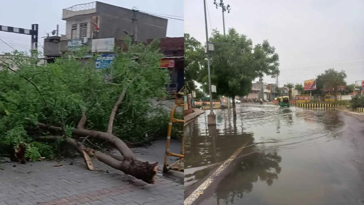 Rajasthan Weather: गरज-चमक के साथ बारिश ने मचाया कोहराम! पेड़ व बिजली के पोल धराशाई