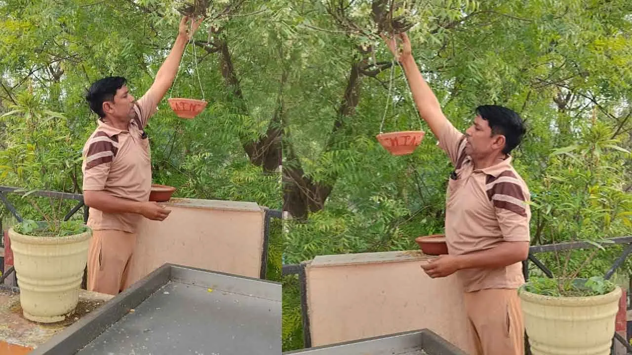 Sri Ganganagar: जीव कल्याण सेवा मुहिम, सेवादारों ने नेहरू पार्क में परिंदें बांध डाला चोगा
