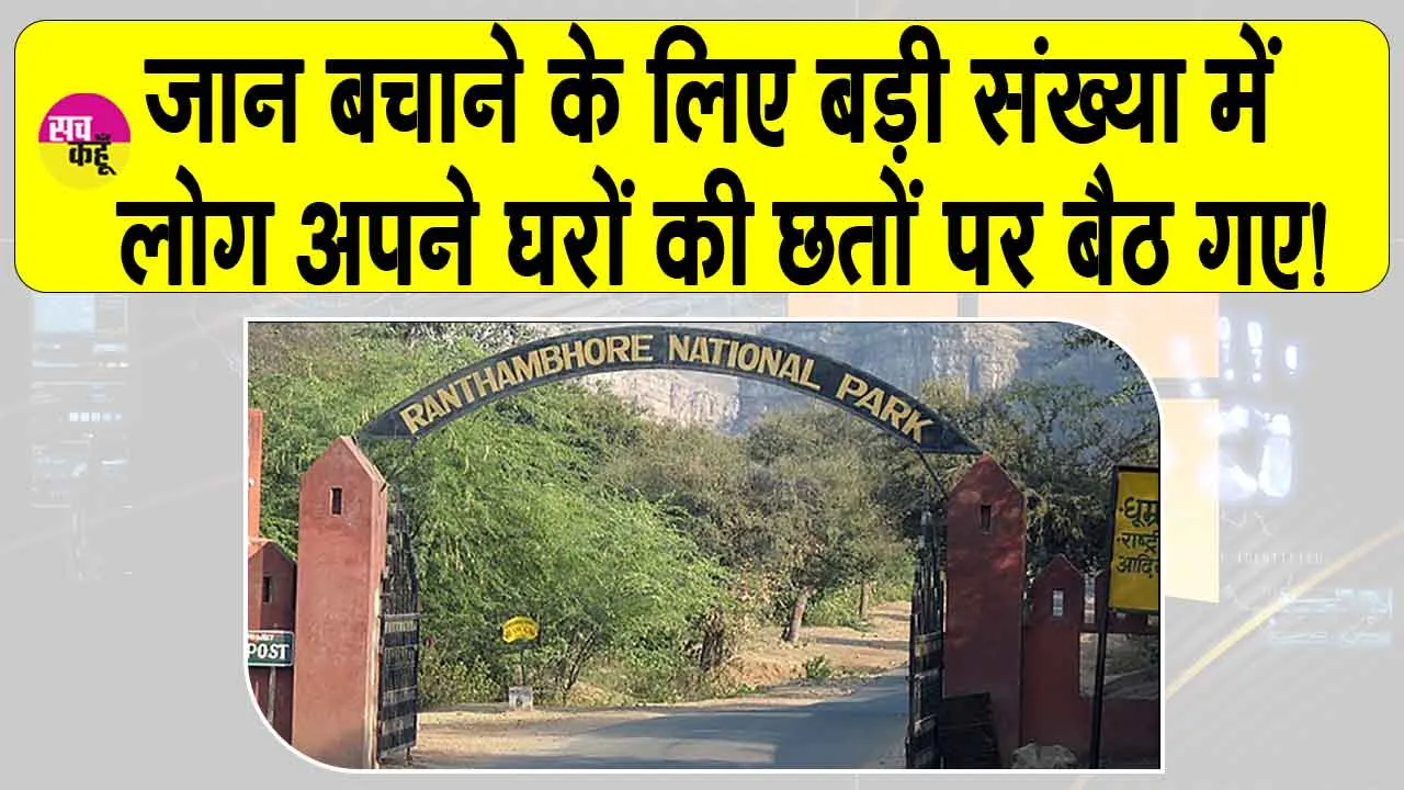 Ranthambore: जान बचाने के लिए बड़ी संख्या में लोग अपने घरों की छतों पर बैठ गए! जानें किस से है खतरा?