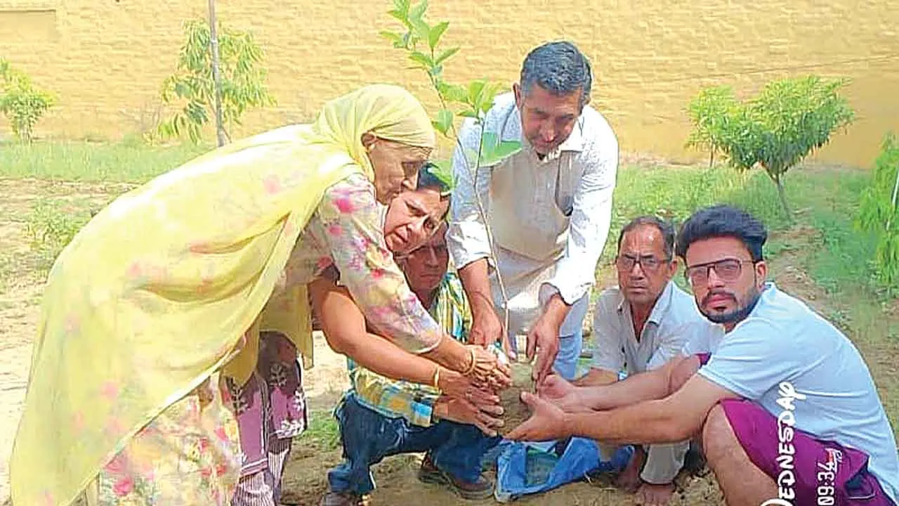 अस्थियों पर पौधे लगाकर पर्यावरण को दिया बढ़ावा