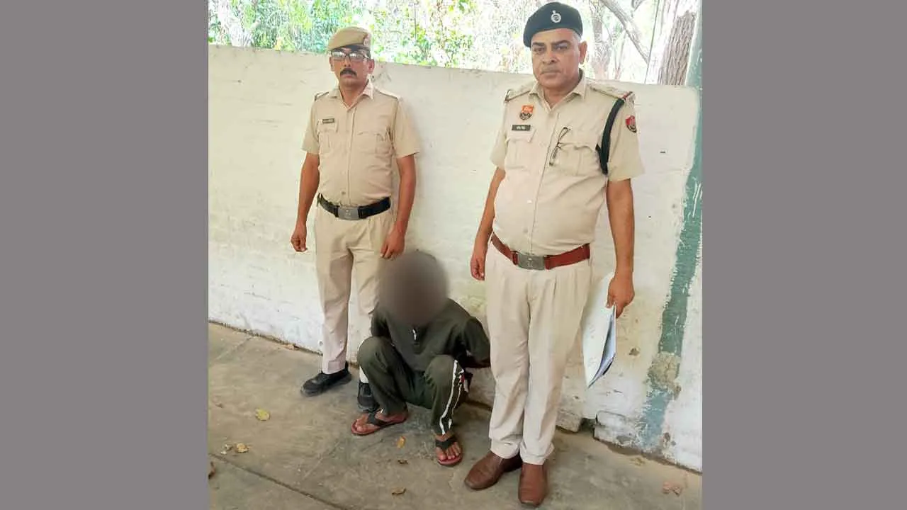 पुलिस ने बैटरी चोरी की गुत्थी सुलझाई, आरोपी काबू