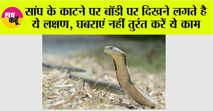 Snake News: सांप के काटने पर बॉडी पर दिखने लगते है ये लक्षण, घबराएं नहीं तुरंत करें ये काम