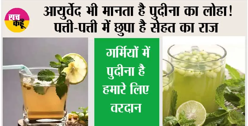Summer Drink: आयुर्वेद भी मानता है पुदीना का लोहा! पत्ती-पत्ती में छुपा है सेहत का राज, गर्मियों में नहीं अमृत से कम