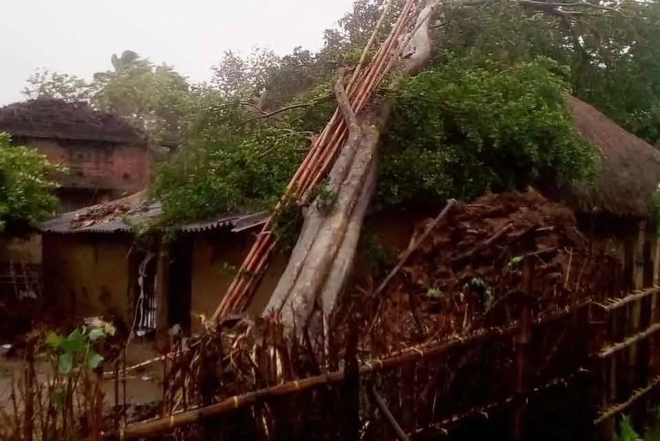 Subarnarekha Floods: सुवर्णरेखा बाढ़ से बालासोर में भारी तबाही, 50,000 से अधिक लोग पीड़ित