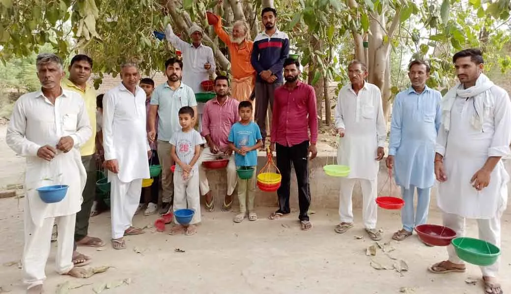 Hanumangarh: बेजुबान पक्षियों के लिए बांधे परिंडे