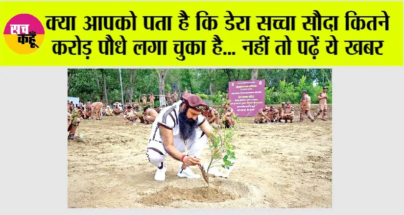 Dera Sacha Sauda: क्या आपको पता है कि डेरा सच्चा सौदा कितने करोड़ पौधे लगा चुका है… नहीं तो पढ़ें ये खबर