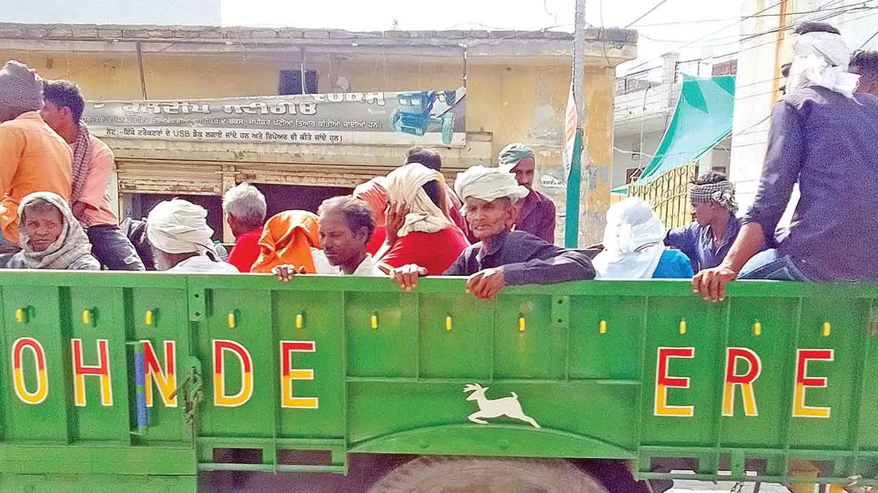 धान रोपाई के लिए बड़ी संख्या में पंजाब पहुंचे प्रवासी मजदूर