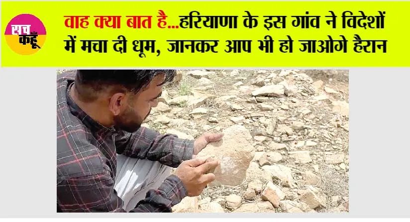 Haryana News: वाह क्या बात है…हरियाणा के इस गांव ने विदेशों में मचा दी धूम, जानकर आप भी हो जाओगे हैरान