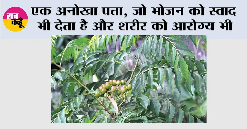 Health Tips: एक अनोखा पत्ता, जो भोजन को स्वाद भी देता है और शरीर को आरोग्य भी